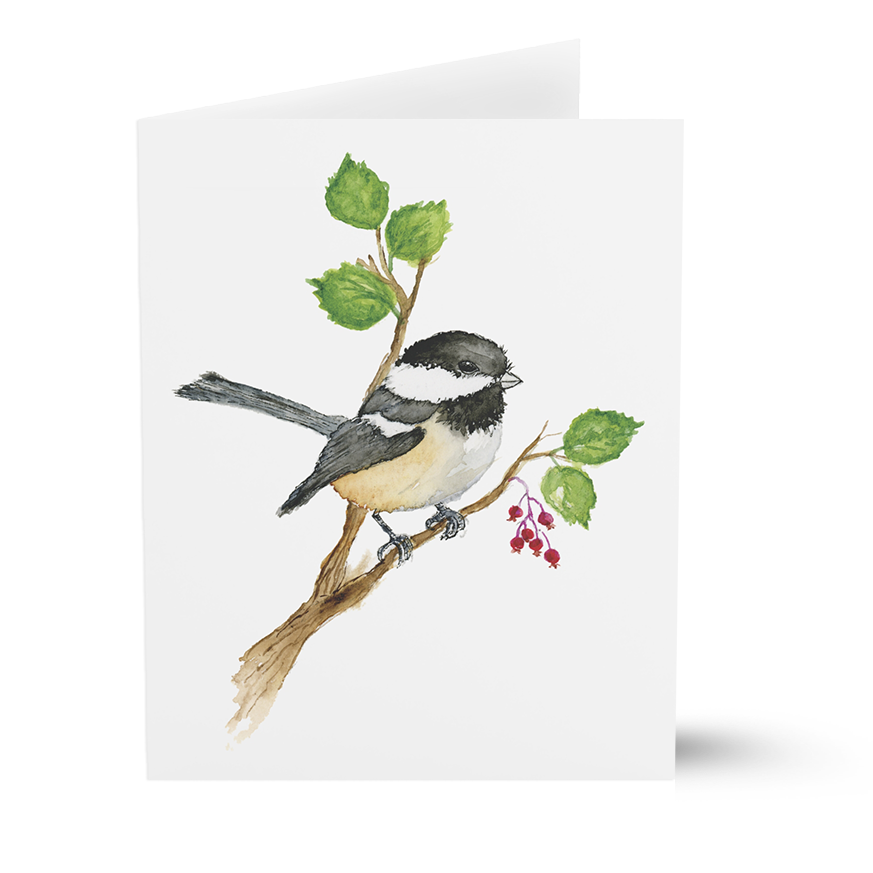 Junco (Greeting Cards)