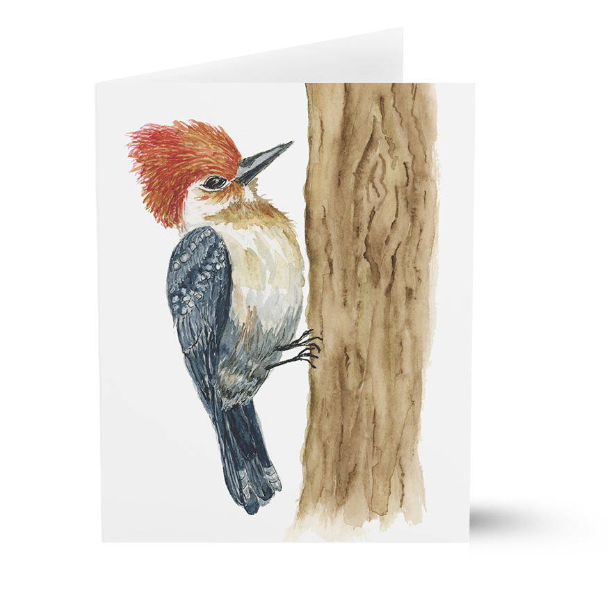 Pileated Woodpecker (Greeting Cards)