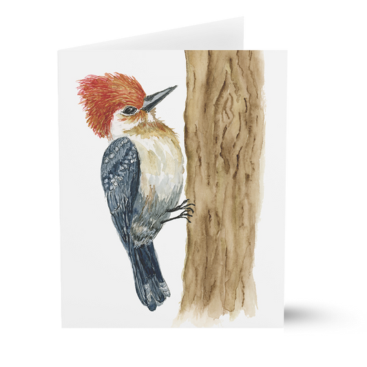 Pileated Woodpecker (Greeting Cards)