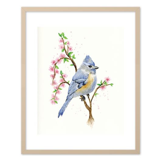 "Tufted Titmouse" (Art Print) from my Spring Collection