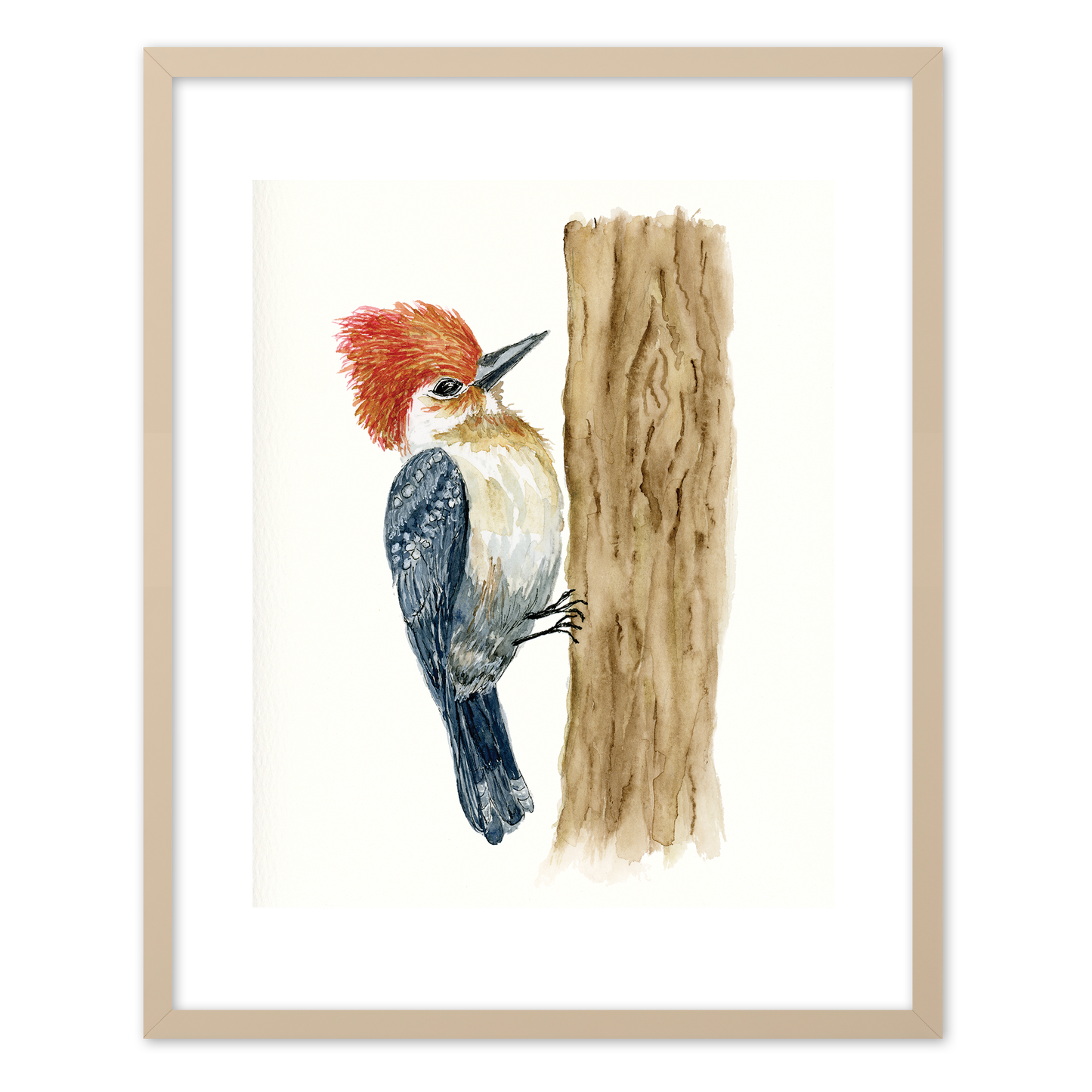 "Pileated Woodpecker" (Art Print) from my Spring Collection
