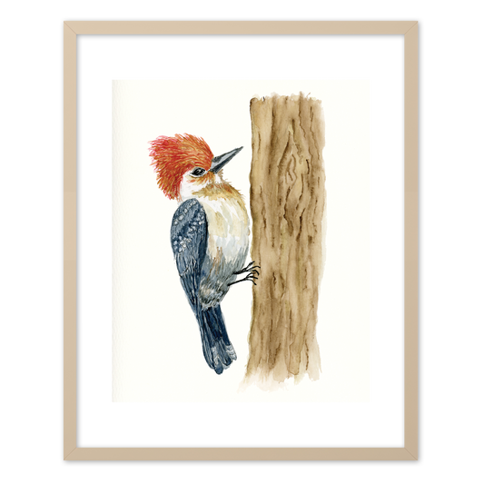 "Pileated Woodpecker" (Art Print) from my Spring Collection