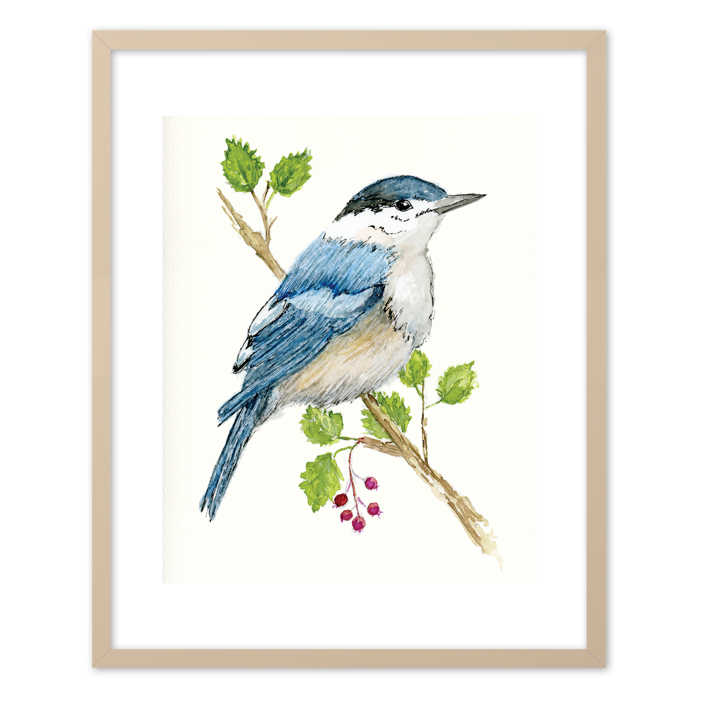 "Nut Hatch" (Art Print) from my Spring Collection