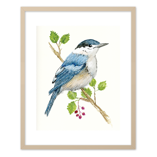 "Nut Hatch" (Art Print) from my Spring Collection