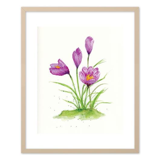 "Crocus" (Art Print) from my Spring Collection