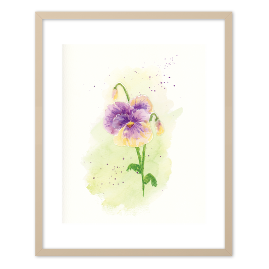 "Pansy" (Art Print) from my Spring Collection