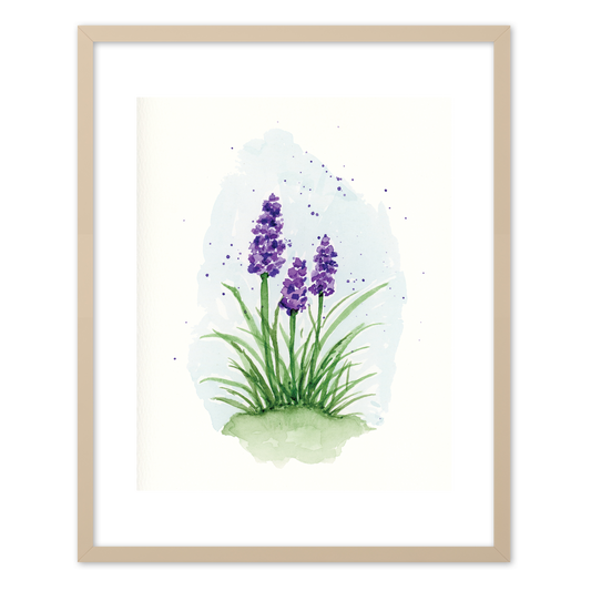 "Hyacinth" (Art Print) from my Spring Collection