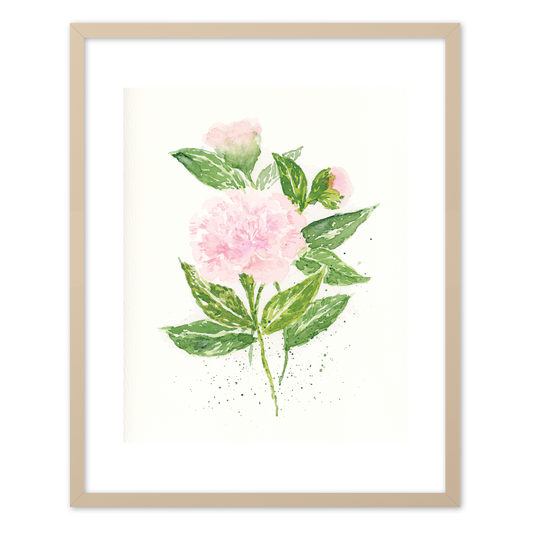 "Peony" (Art Print) from my Spring Collection
