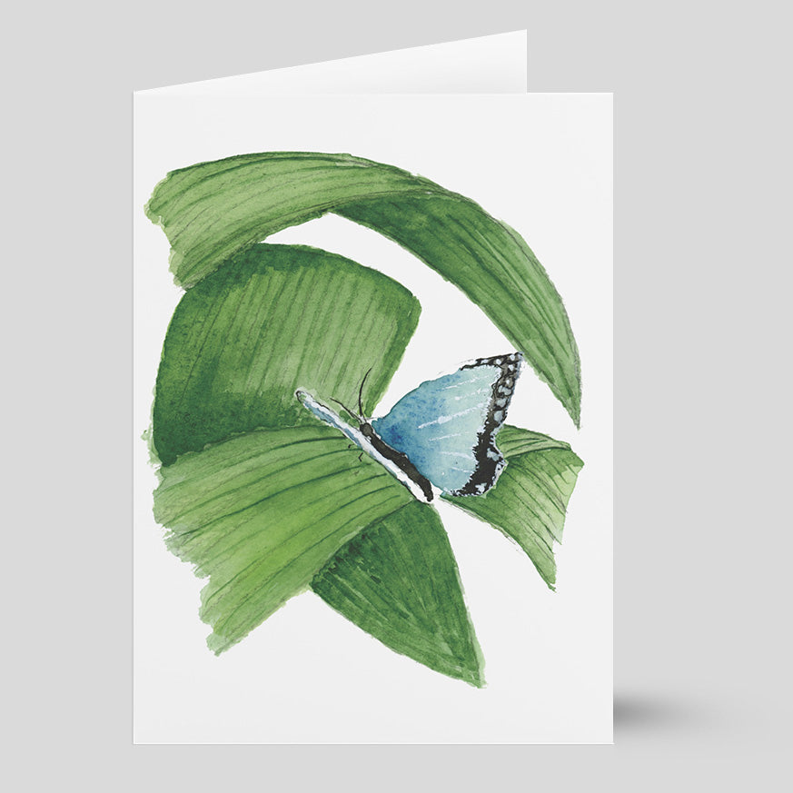 "Blue Butterfly" (Greeting Card) from my Spring & Summer Collection