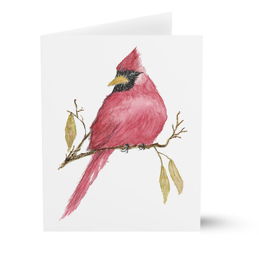 Cardinal (Greeting Cards)