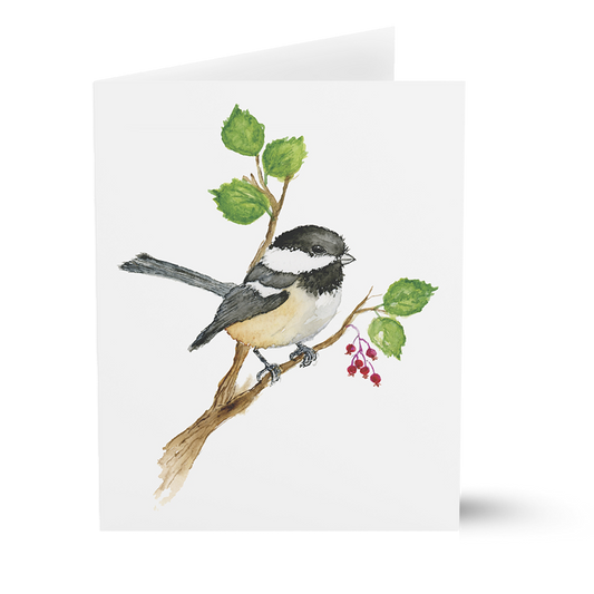 Junco (Greeting Cards)
