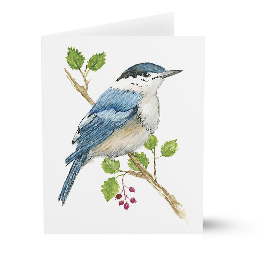 Nuthatch (Greeting Cards)