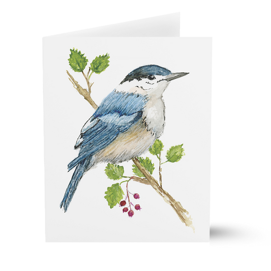 Nuthatch (Greeting Cards)