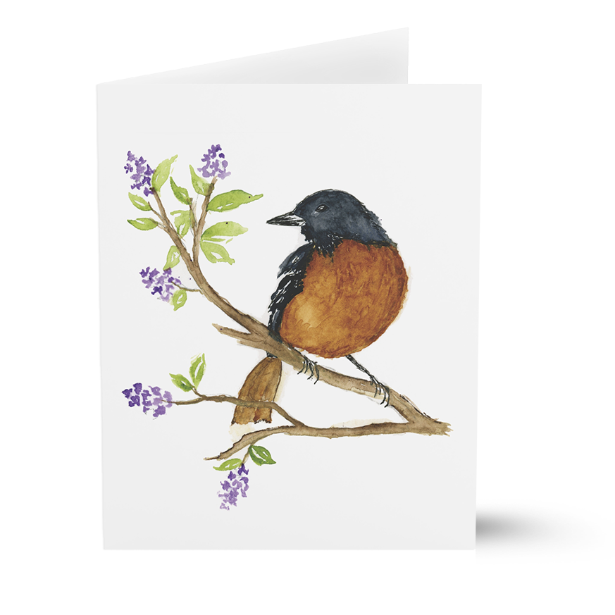Oriole (Greeting Cards)