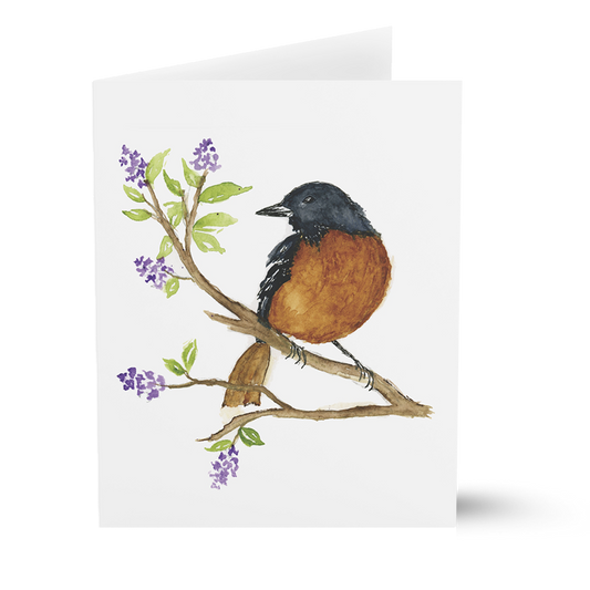 Oriole (Greeting Cards)