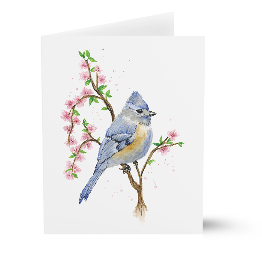 Tufted Titmouse (Greeting Cards)