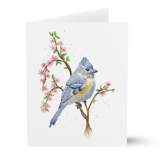Tufted Titmouse (Greeting Cards)