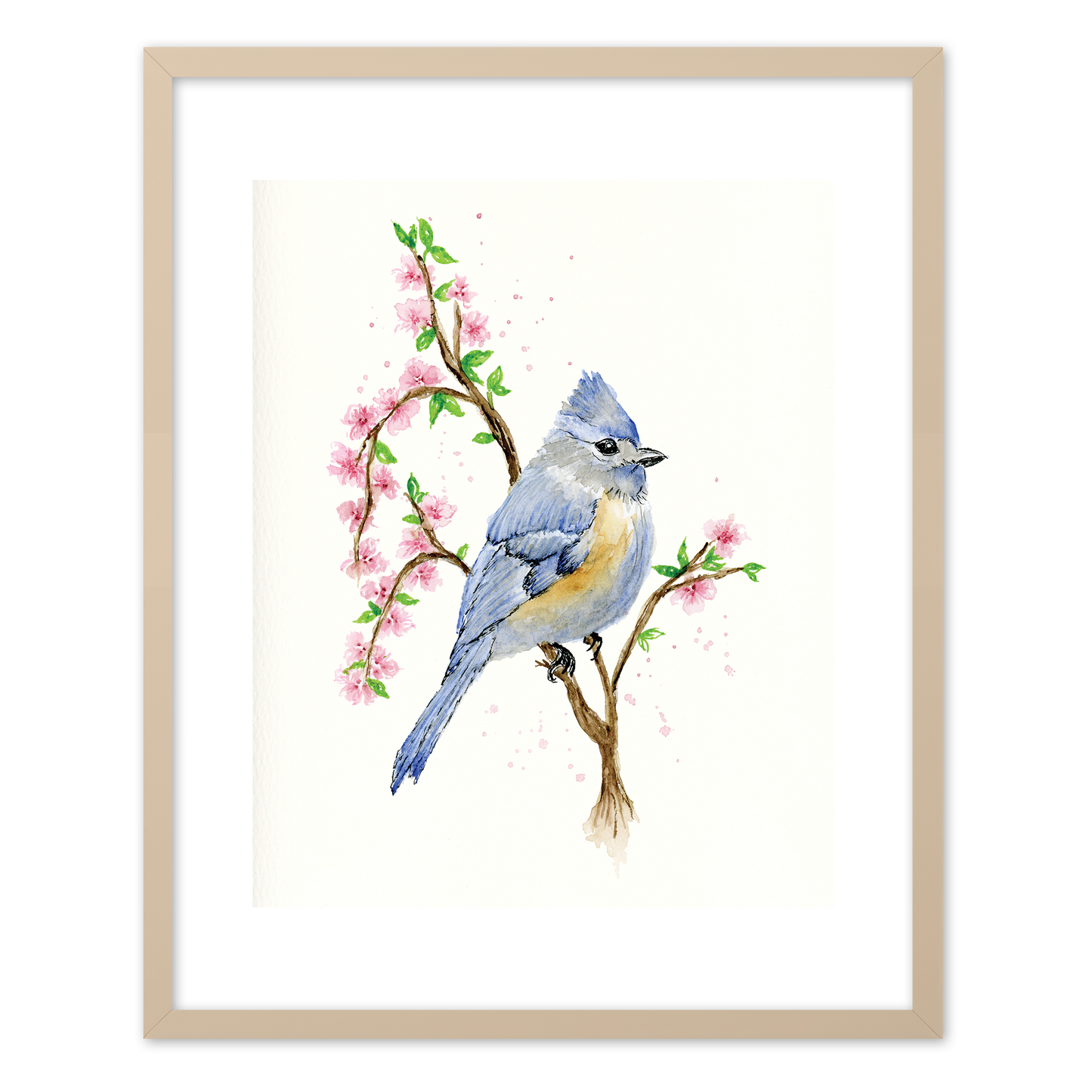 "Tufted Titmouse" (Art Print) from my Spring Collection