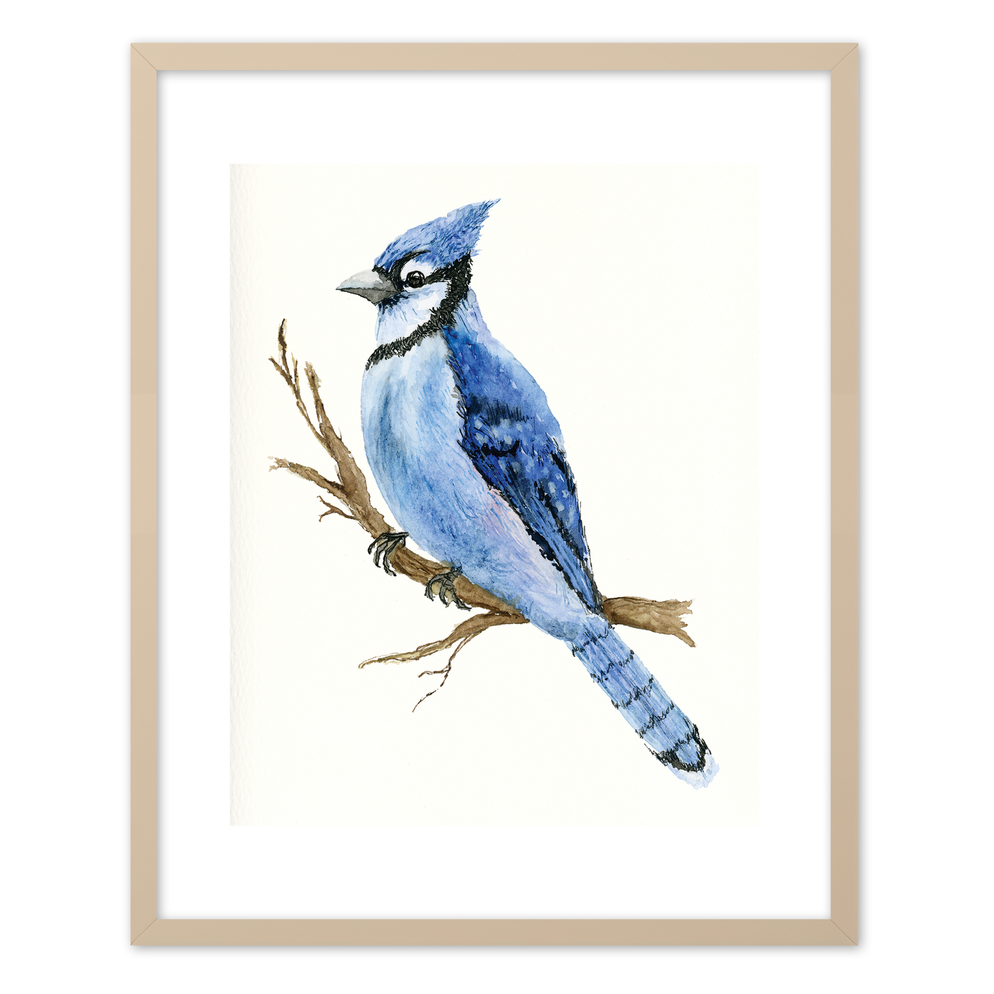 "Blue Jay" (Art Print) from my Spring Collection