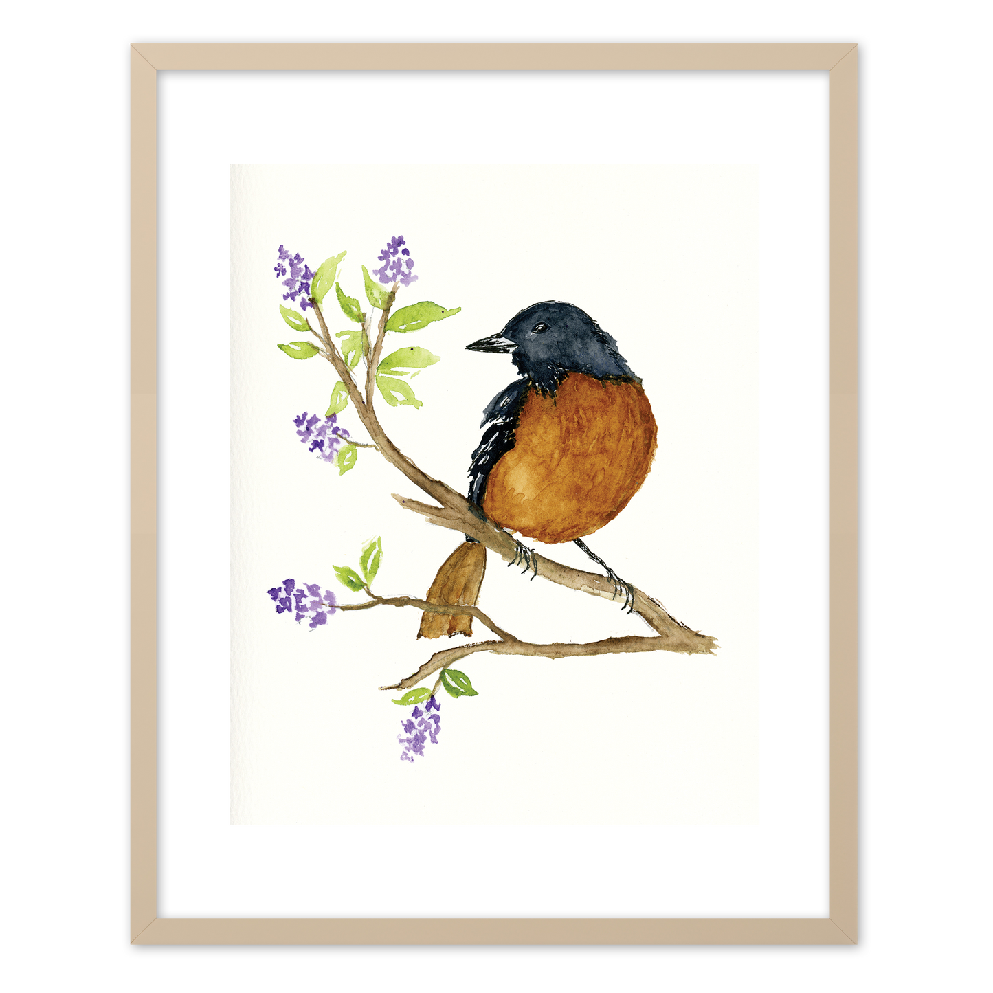"Oriole" (Art Print) from my Spring Collection
